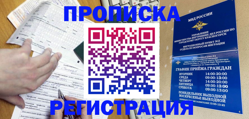 купить прописку в Сольцах